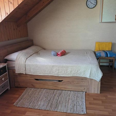 Apartmán Soba Za Nocenje Noa I Mila Bezavina Exteriér fotografie